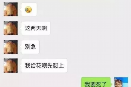 眉县企业清欠服务